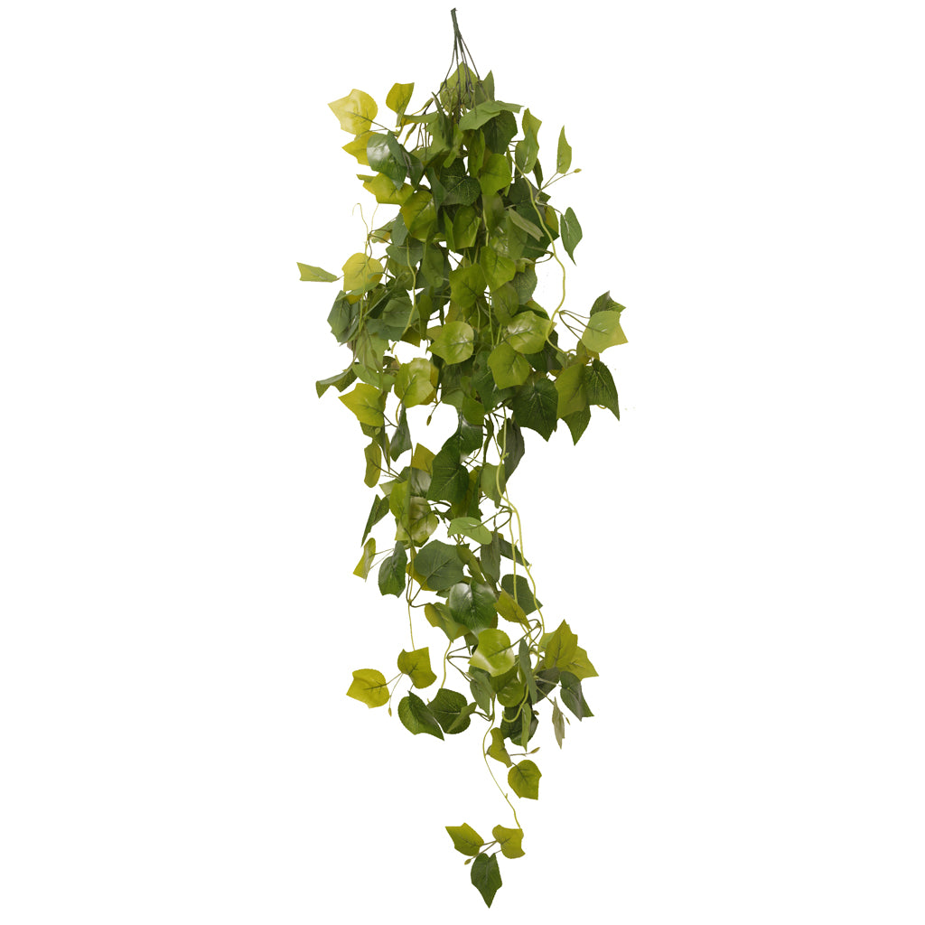 HabiStat Hanging Vine Plus