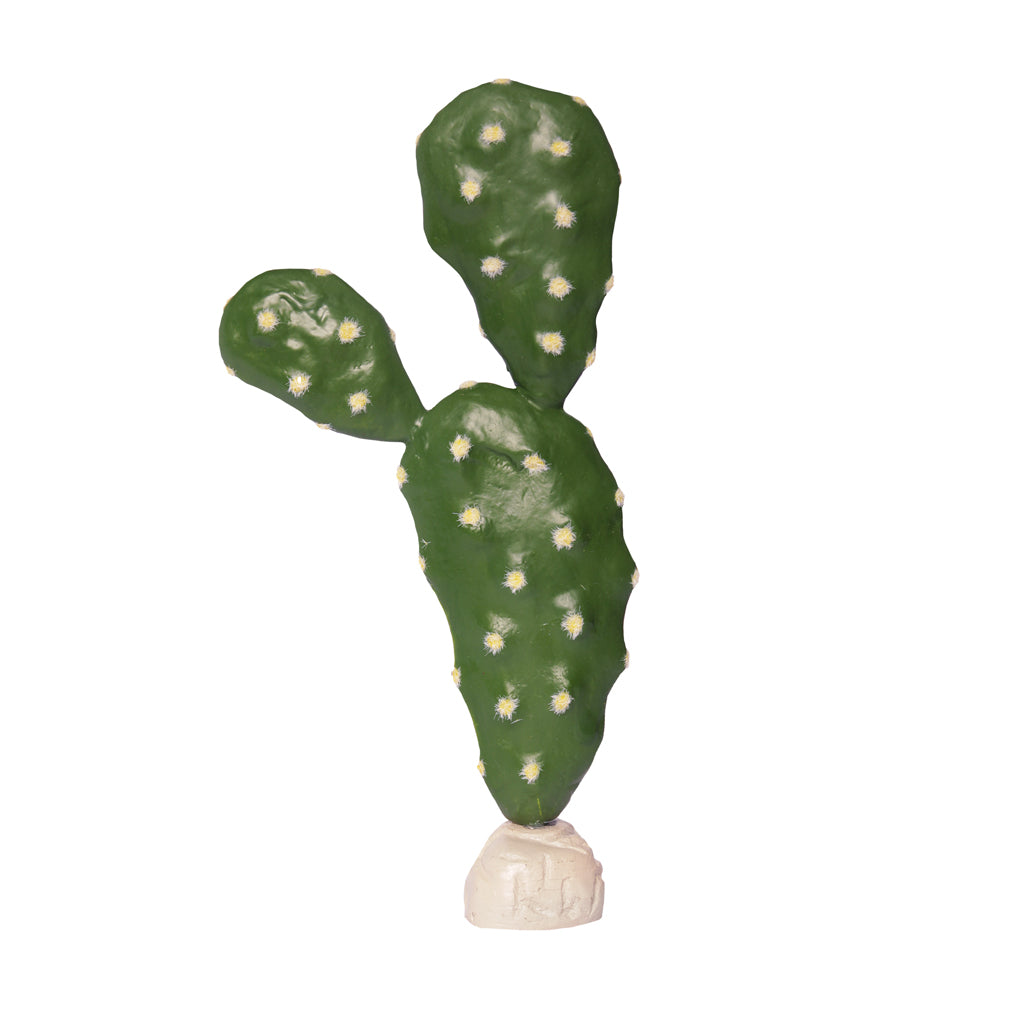HabiStat Cacti - Prickly Pear
