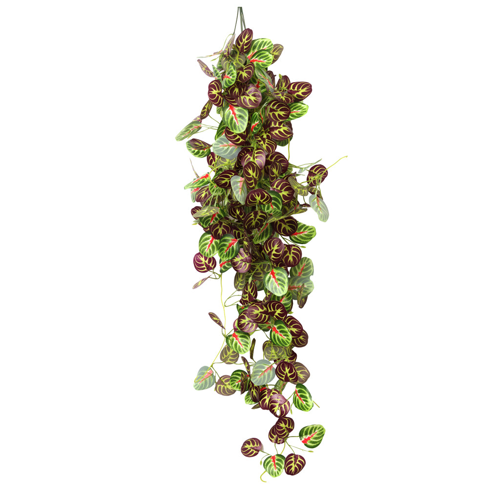HabiStat Hanging Vine Plus