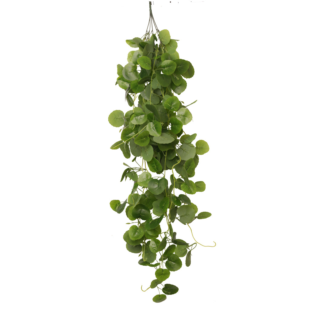 HabiStat Hanging Vine Plus