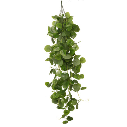 HabiStat Hanging Vine Plus
