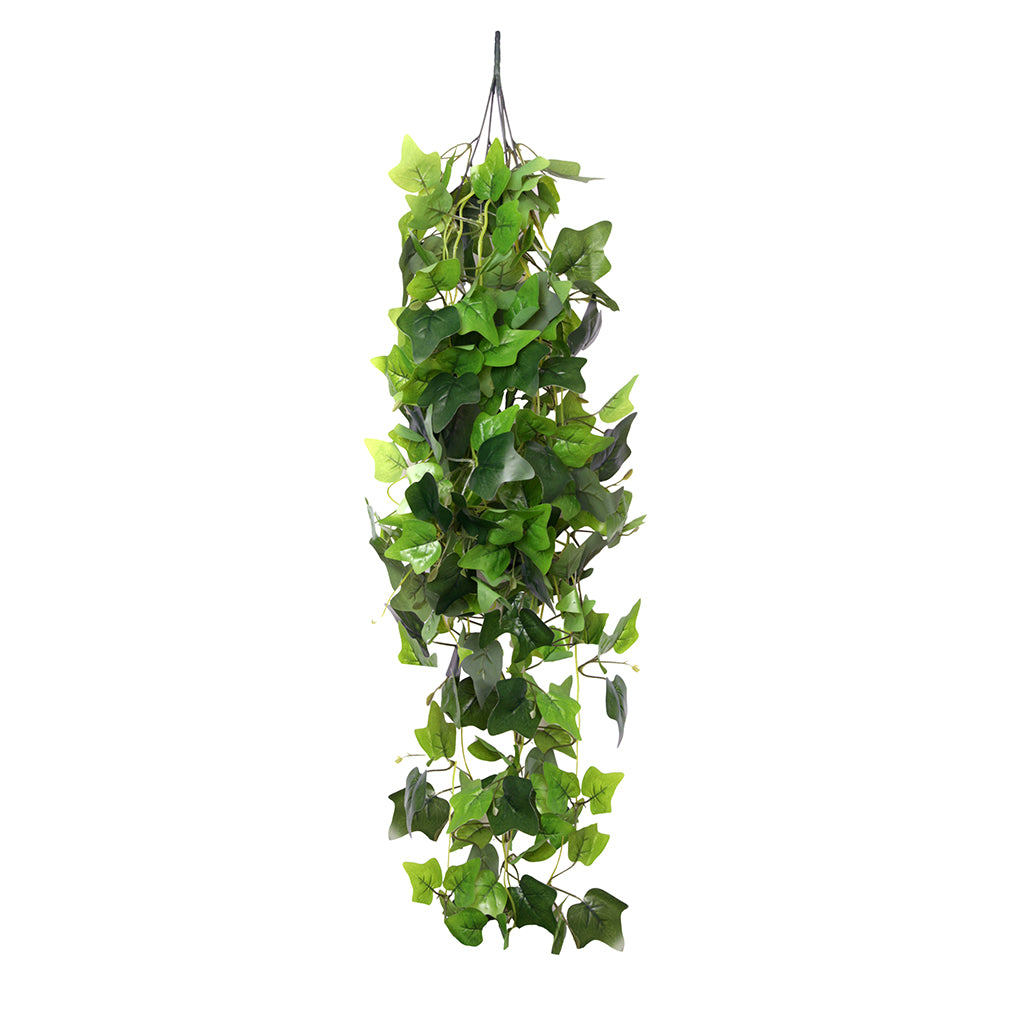HabiStat Hanging Vine Plus