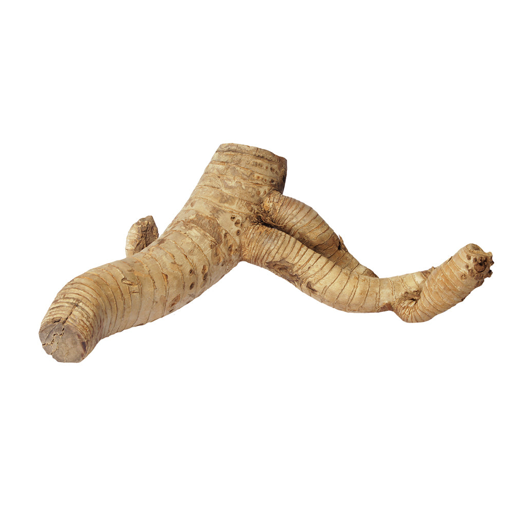 HabiStat Bamboo Root