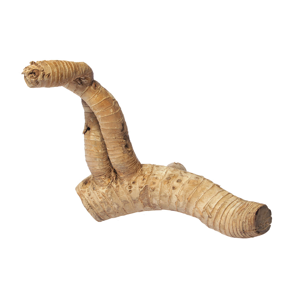 HabiStat Bamboo Root