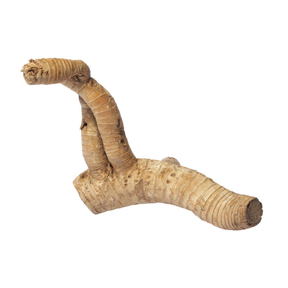 HabiStat Bamboo Root