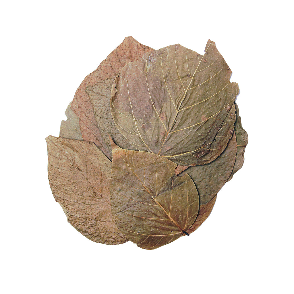 HabiStat Leaves