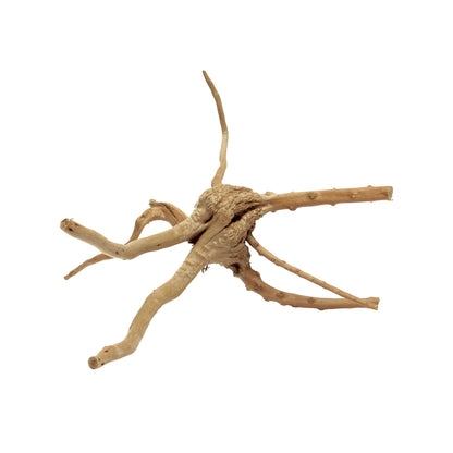 HabiStat Spider Root