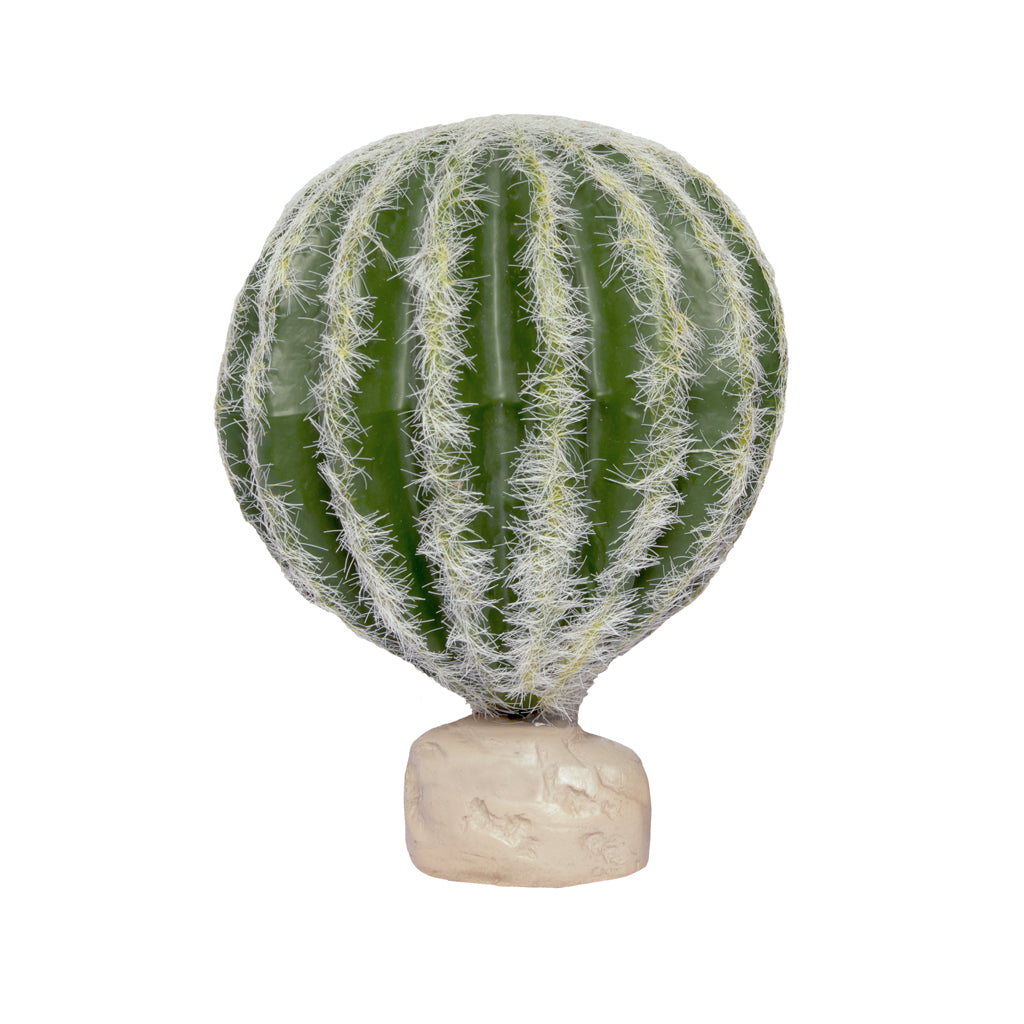 HabiStat Cacti - Barrel